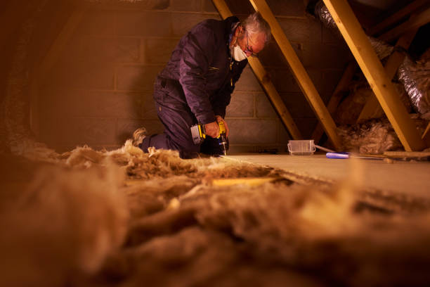 Best Insulation Maintenance and Repair in Byhalia, MS